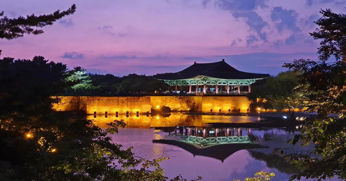 동궁과 월지 야경 / 경주시