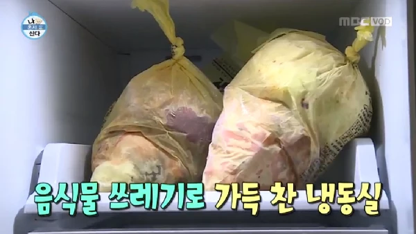 MBC '나 혼자 산다'