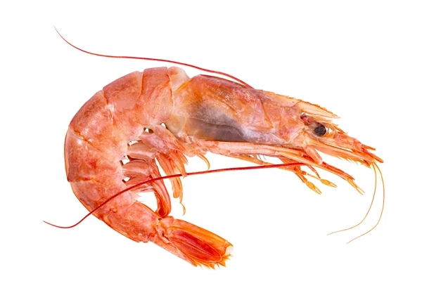 이하 기사와 관련 없는 사진 / yarrbush-이하 Shutterstock.com