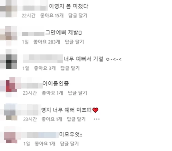 SNS 이용자들이 이영지 인스타그램에 남긴 댓글