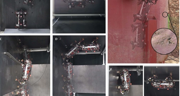 사족보행로봇 벼과 천장 등 운행모습 / KAIST