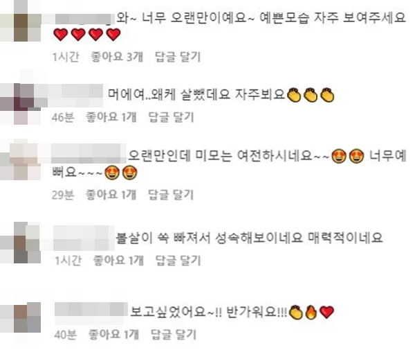 SNS 이용자들이 조혜정 인스타그램에 남긴 댓글