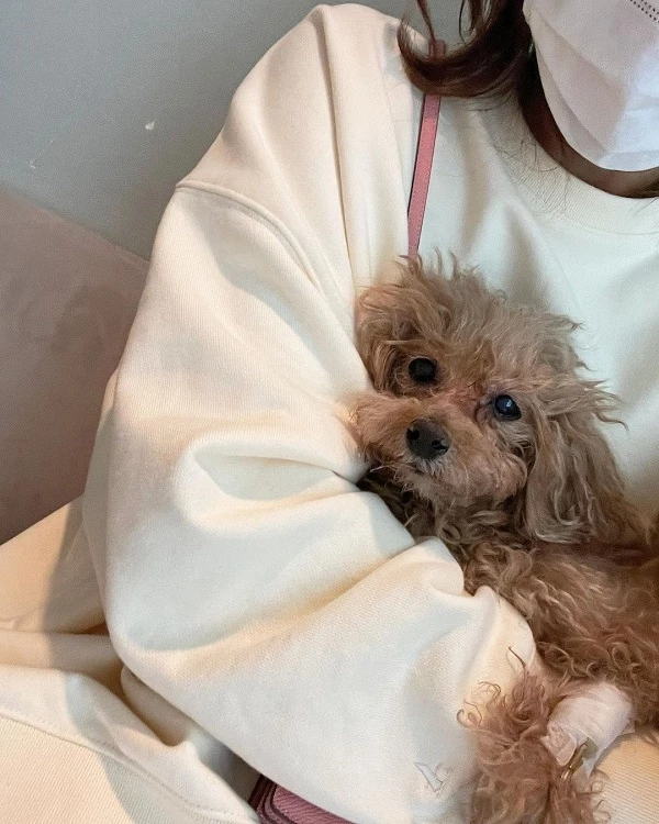 반려견을 품에 안고 있는 김준희.