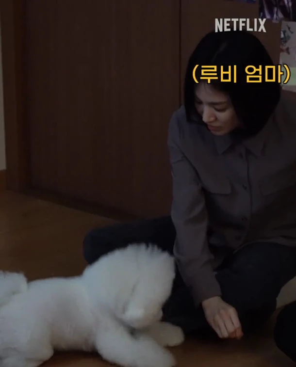 촬영장에 반려견 루비를 데려온 송혜교 / 이하 넷플릭스 공식 트위터
