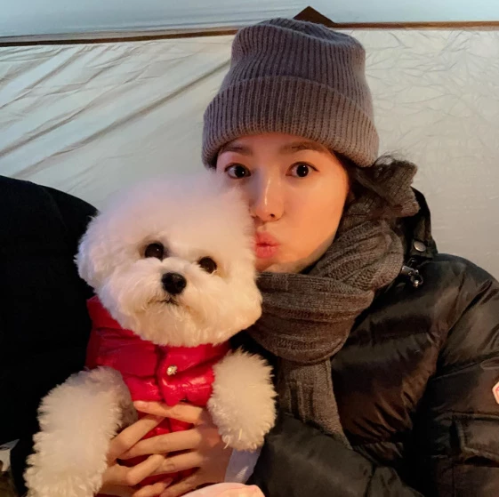 송혜교와 반려견 루비 / 이하 송혜교 인스타그램