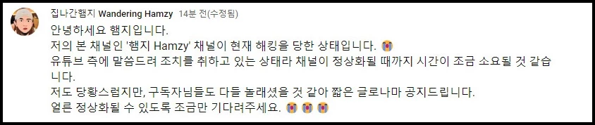 햄지가 서브 계정에 올린 해킹 피해 호소문 / 유튜브 '집나간햄지 Wandering Hamzy' 채널 커뮤니티