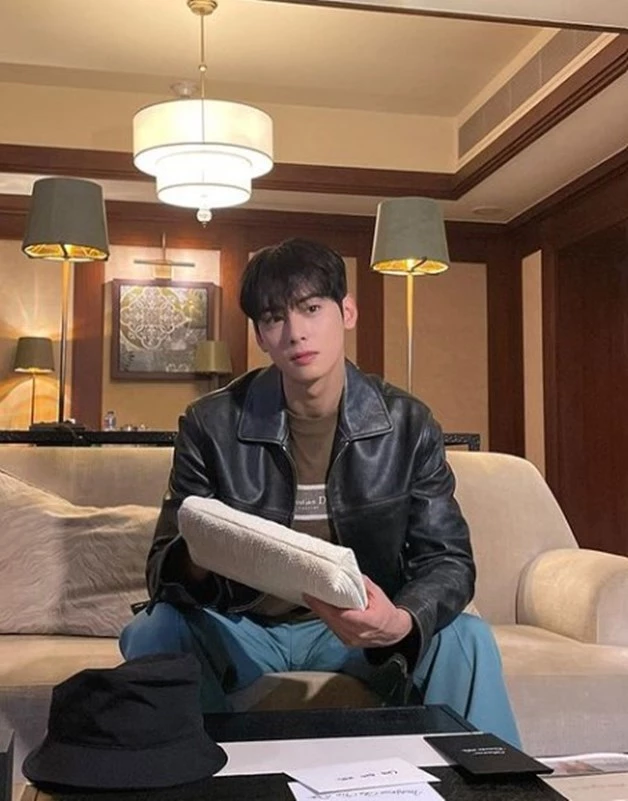 영화 '벌크' 출연 보류 배우 차은우 / 차은우 인스타그램