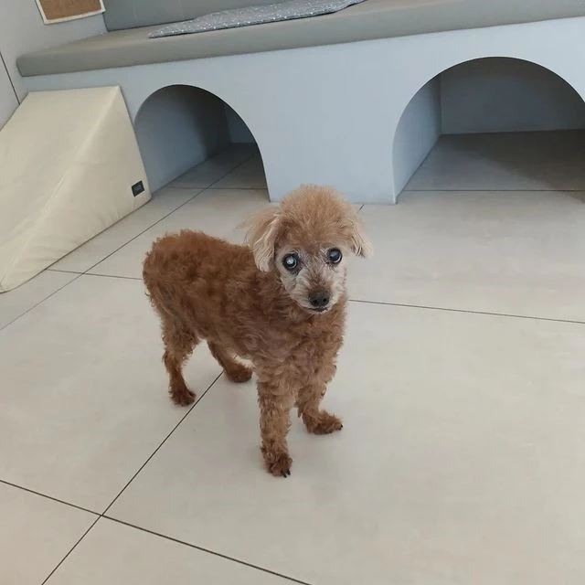 하람이가 카메라를 바라보고 있다.