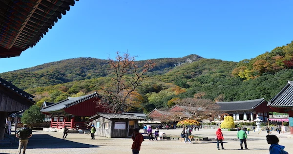 선운사 전경 / 고창군
