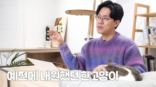 이하 유튜브 '미야옹철의 냥냥펀치'