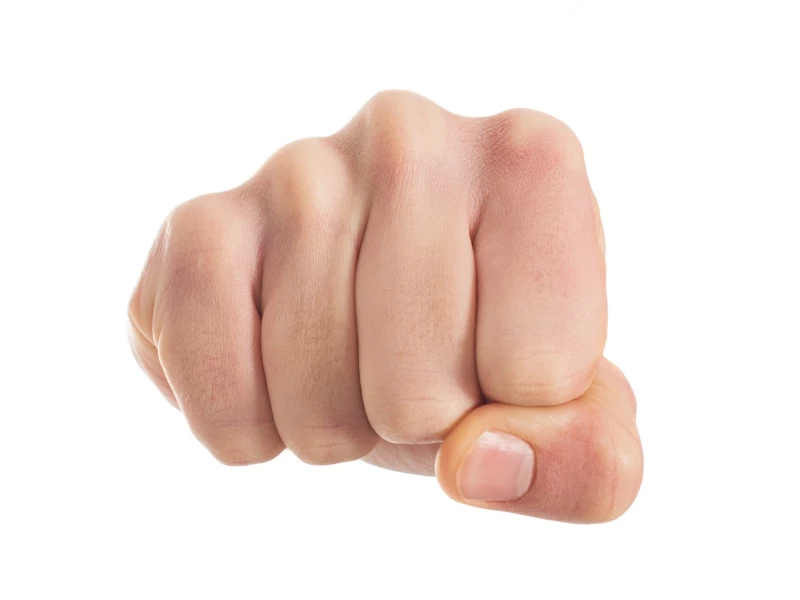 기사 이해를 돕기 위한 이미지 /  Krakenimages.com-Shutterstock.com