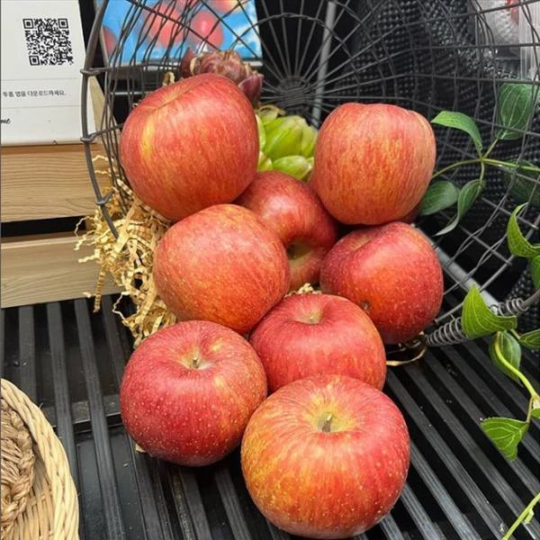 정태영 현대카드 부회장이 올린 사과 사진 / 이하 정태영 부회장 인스타그램