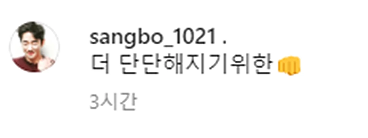 이상보가 남긴 글