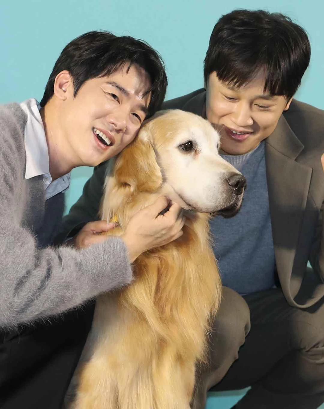 영화 '멍뭉이'에 출연한 배우 유연석, 차태현, 반려견 역 루니