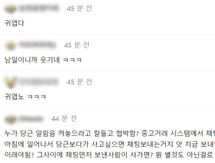 이용자의 태도를 두고 '이해할 수 있다'고 말하는 다른 누리꾼들