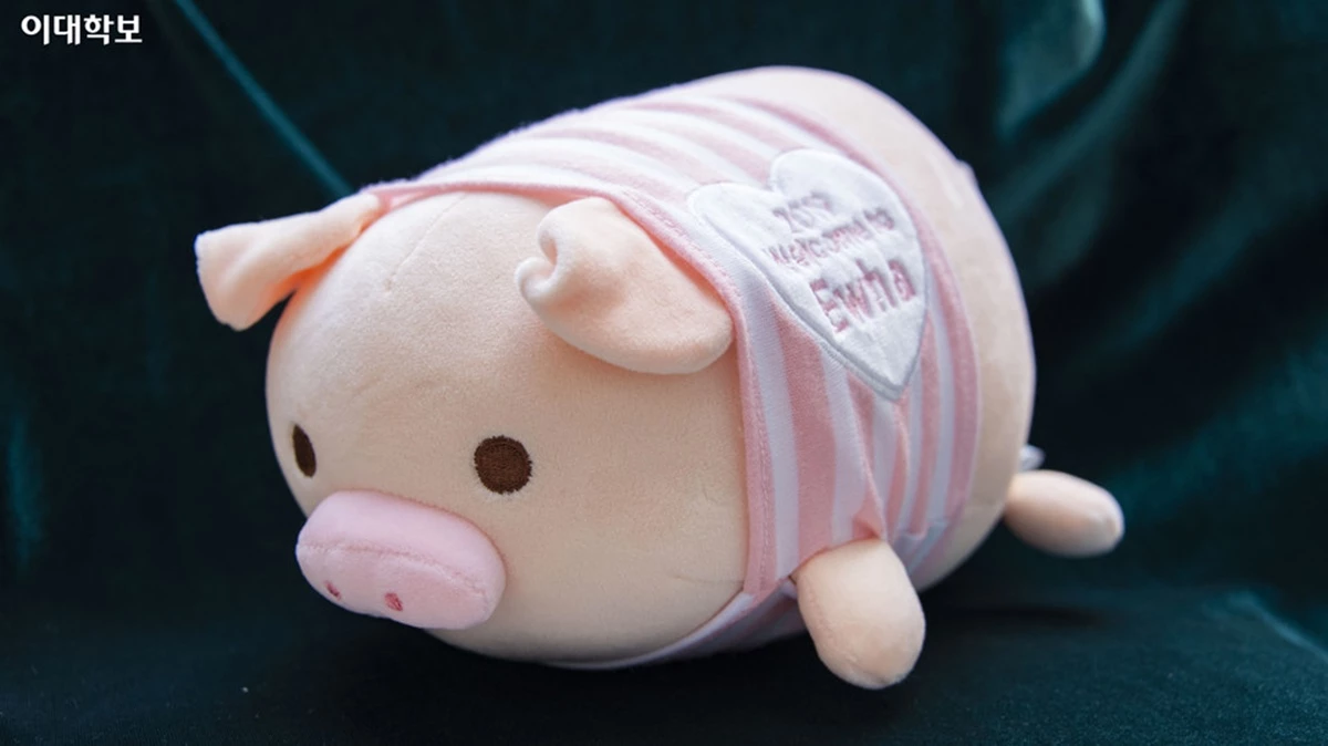 19학번을 위한 돼지 인형이다.