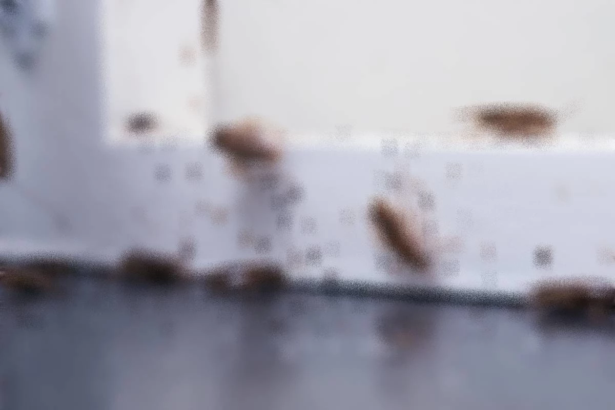 해당 기사와 무관한 자료 사진. / IrinaK-Shutterstock.com