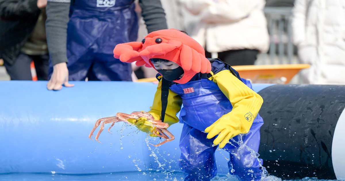 대게잡이 모습
