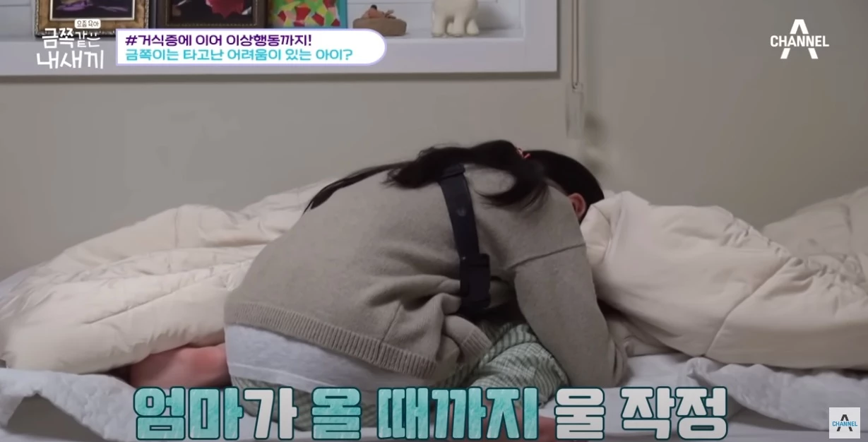 결국 폭발한 금쪽이