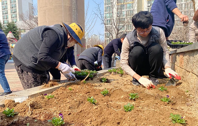 [포토]광주시 광산구 건강우산마을 ‘한마음 건강로’ 봄꽃 단장