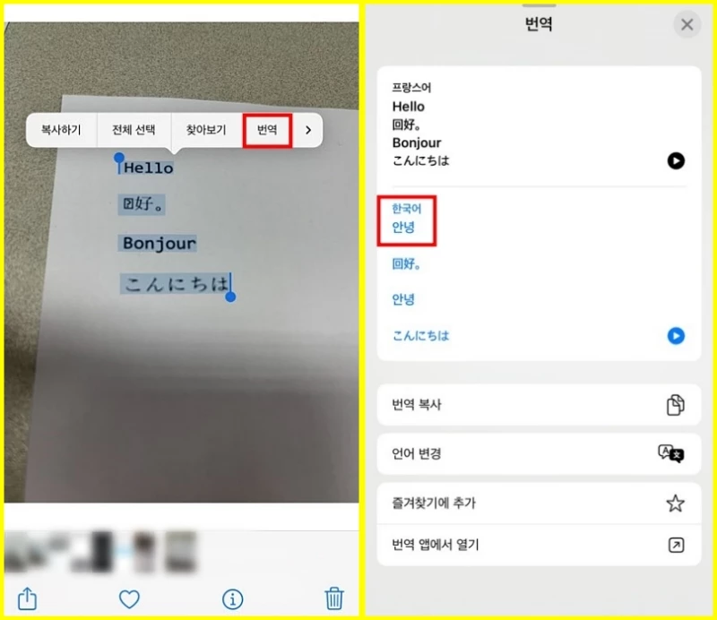 아이폰 사진앱을 통해 번역이 가능하다. 이미지 속에 담긴 영어, 중국어, 프랑스어, 일본어 등을 번역한 결과