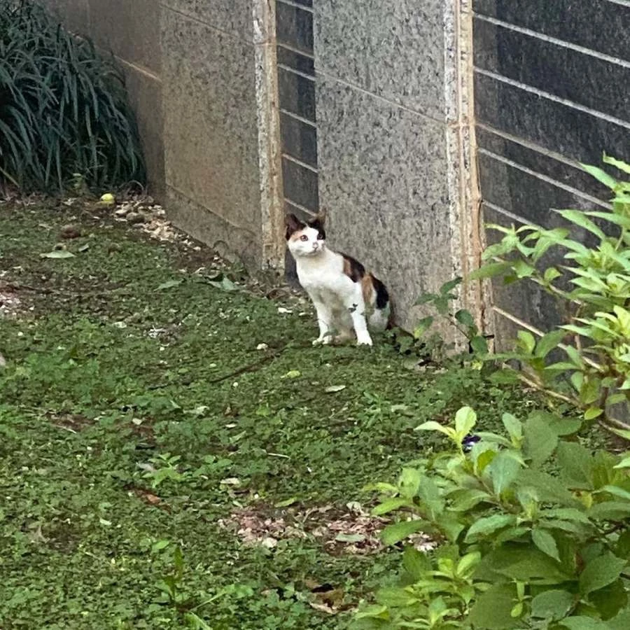 우유 구조 전 모습.