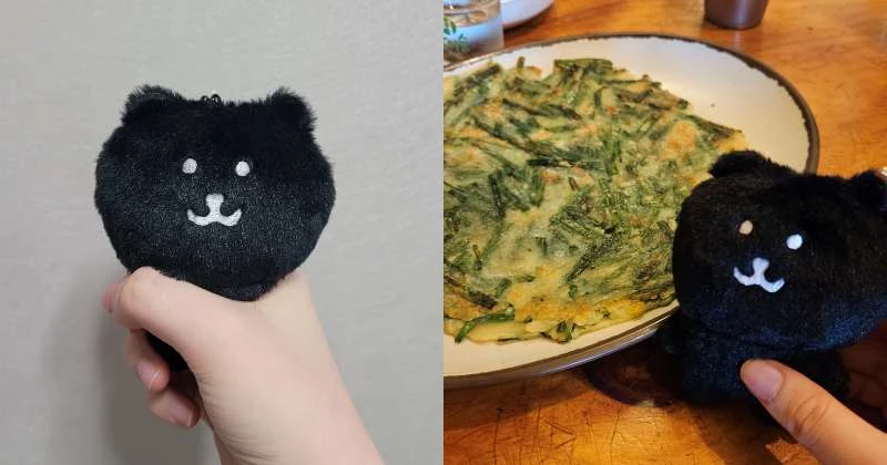 위키트리