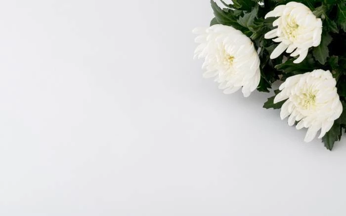 기사와 관련 없는 사진 / skyandsun-Shutterstock.com