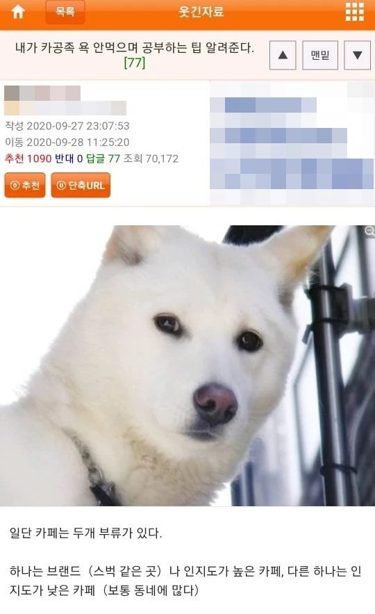 '카공족 욕 안 먹으면서 공부하는 팁'이라는 제목의 글에 관심이 집중되고 있다. / 이하 온라인 커뮤니티 '웃긴대학'