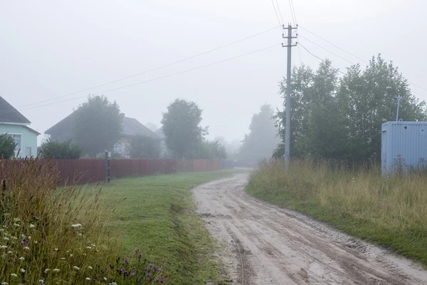 기사 이해를 돕기 위한 이미지 / Andrei Stepanov-shutterstock.com