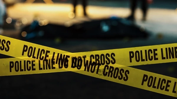 기사 이해를 돕기 위한 이미지 / Gorodenkoff-shutterstock.com