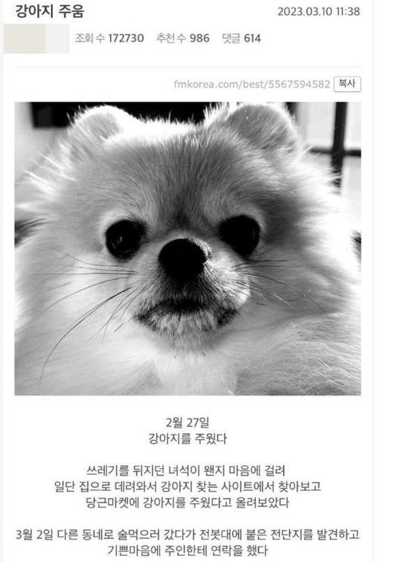 에펨코리아에 게재된 게시글 / 이하 에펨코리아