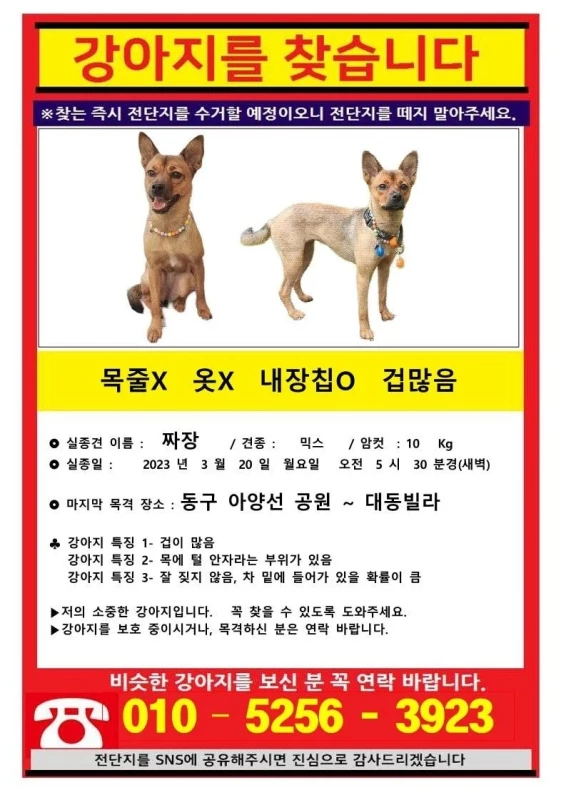 가족들이 만든 실종 전단