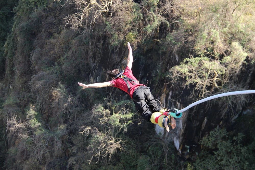 기사 이해를 돕기 위한 사진 / Scott David Huffman-shutterstock.com