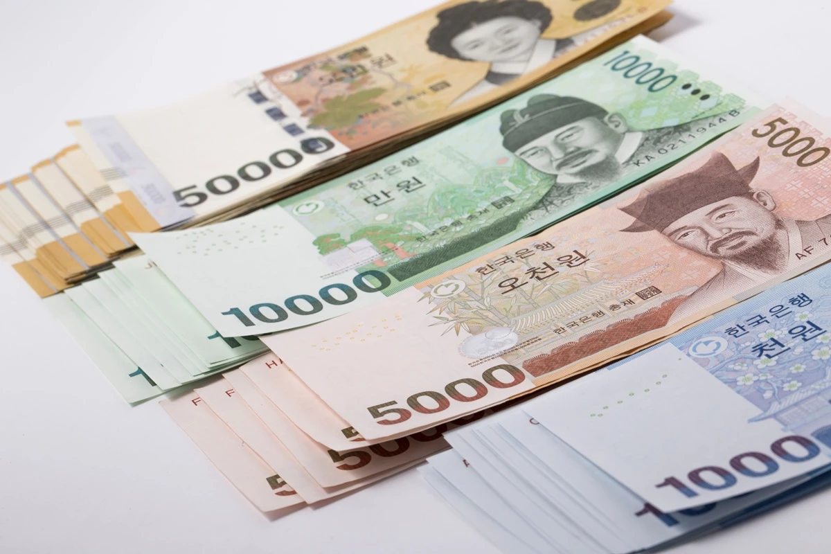 자료 사진 / mujijoa79-shutterstock.com
