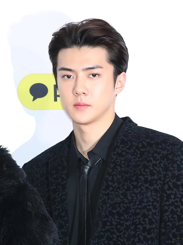 엑소 세훈이 '2018 SBS 가요대전' 레드카펫 행사에 참석해 포즈를 취하고 있다. / 뉴스 1