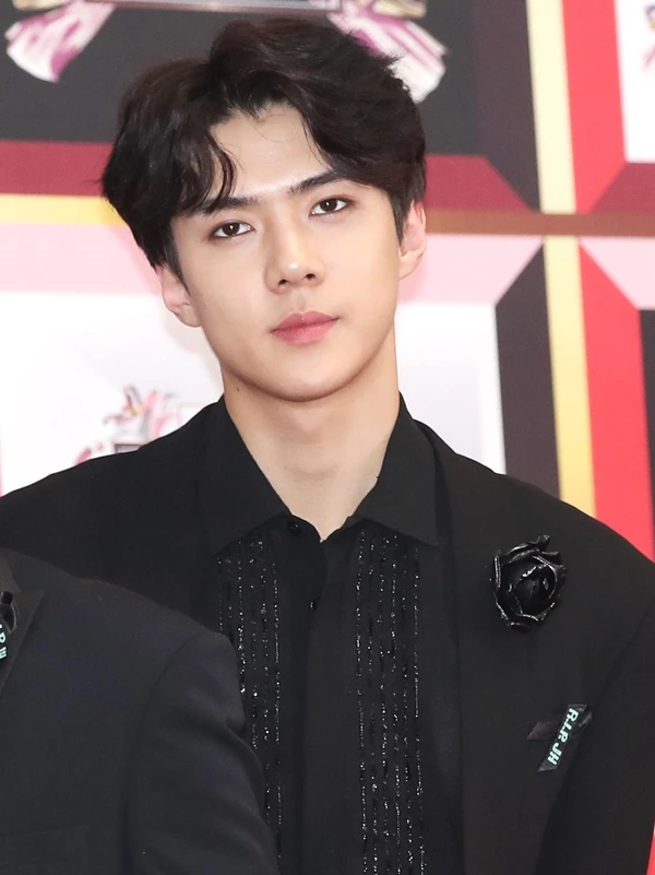 세훈이 '2017 KBS 가요대축제' 레드카펫 행사에 참석해 포즈를 취하고 있다. / 뉴스 1