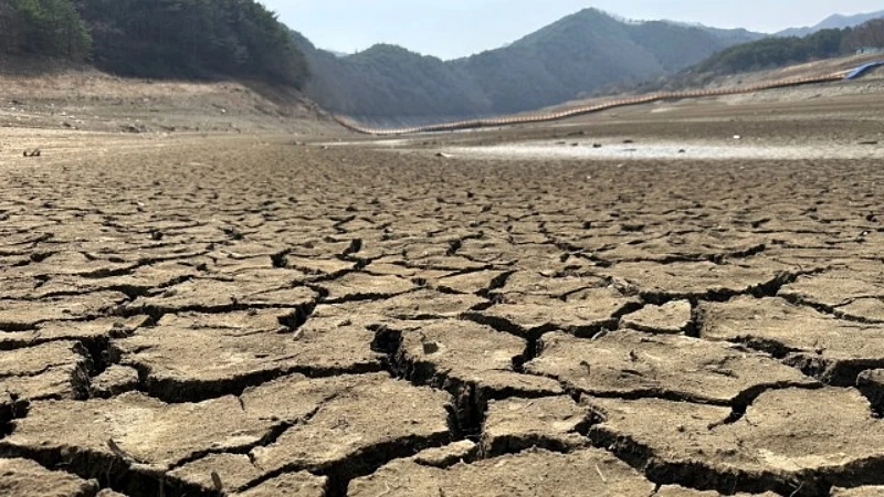 광주 식수 공급원인 전남 순천 주암댐이 가뭄에 메말라 있는 모습 / KBS