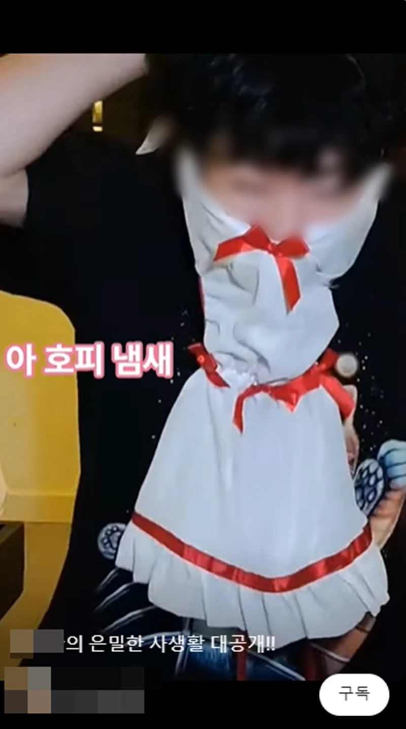 B씨는 유흥업소 여성의 옷 냄새를 맡는 등 자극적인 영상을 제작해 올렸다.