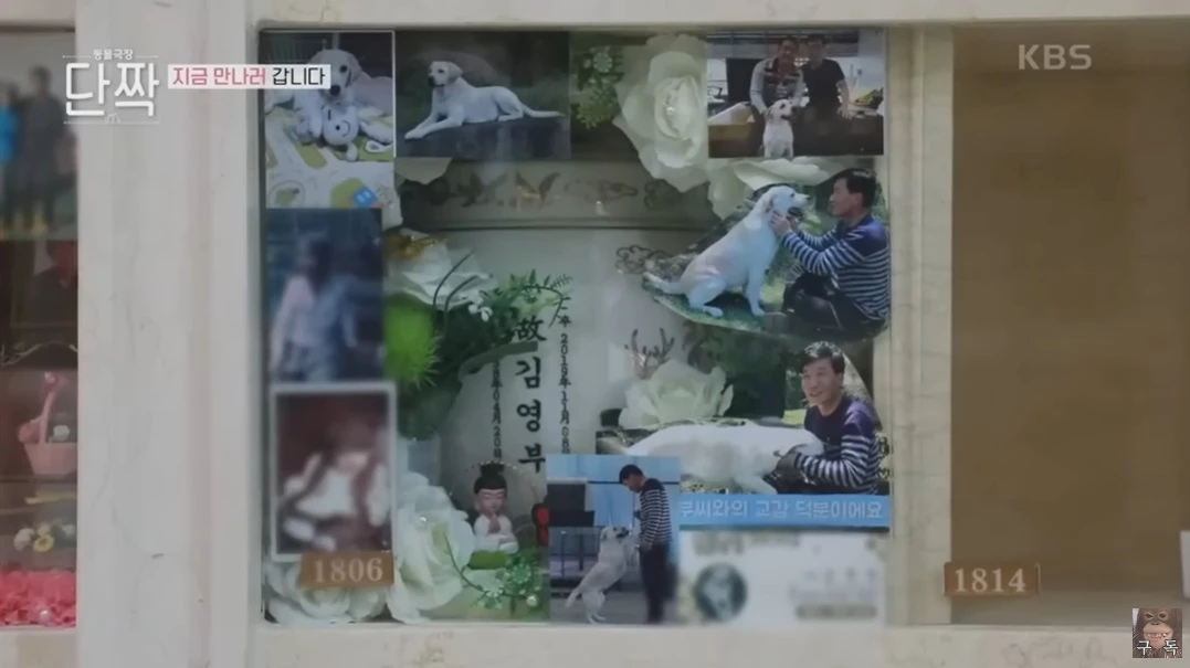 이하 유튜브 'KBS 동물티비 : 애니멀포유 animal4u'