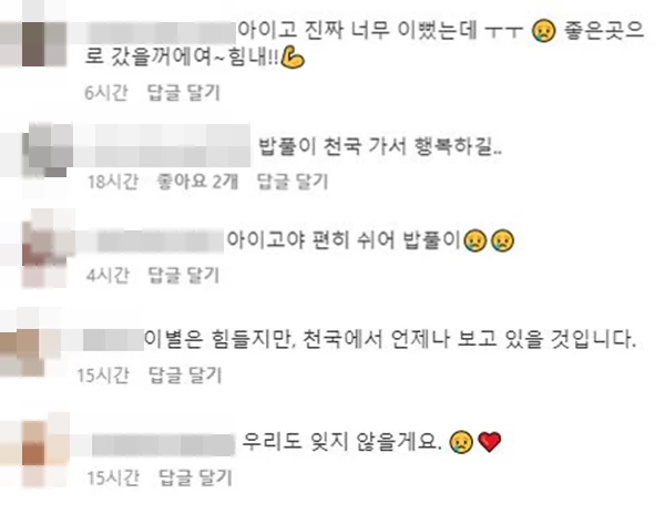 누리꾼들이 위로의 메시지를 남기고 있다.