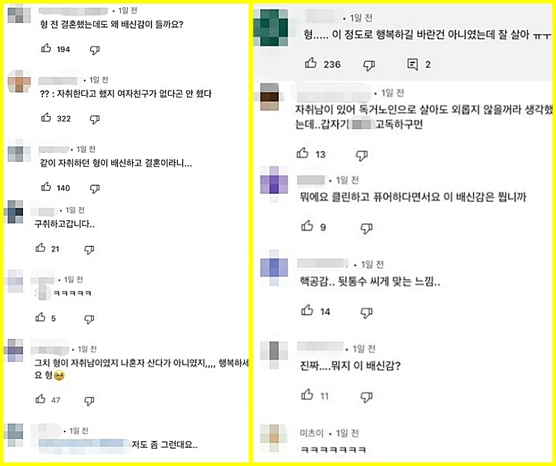 배신감을 호소(?)한 네티즌의 댓글