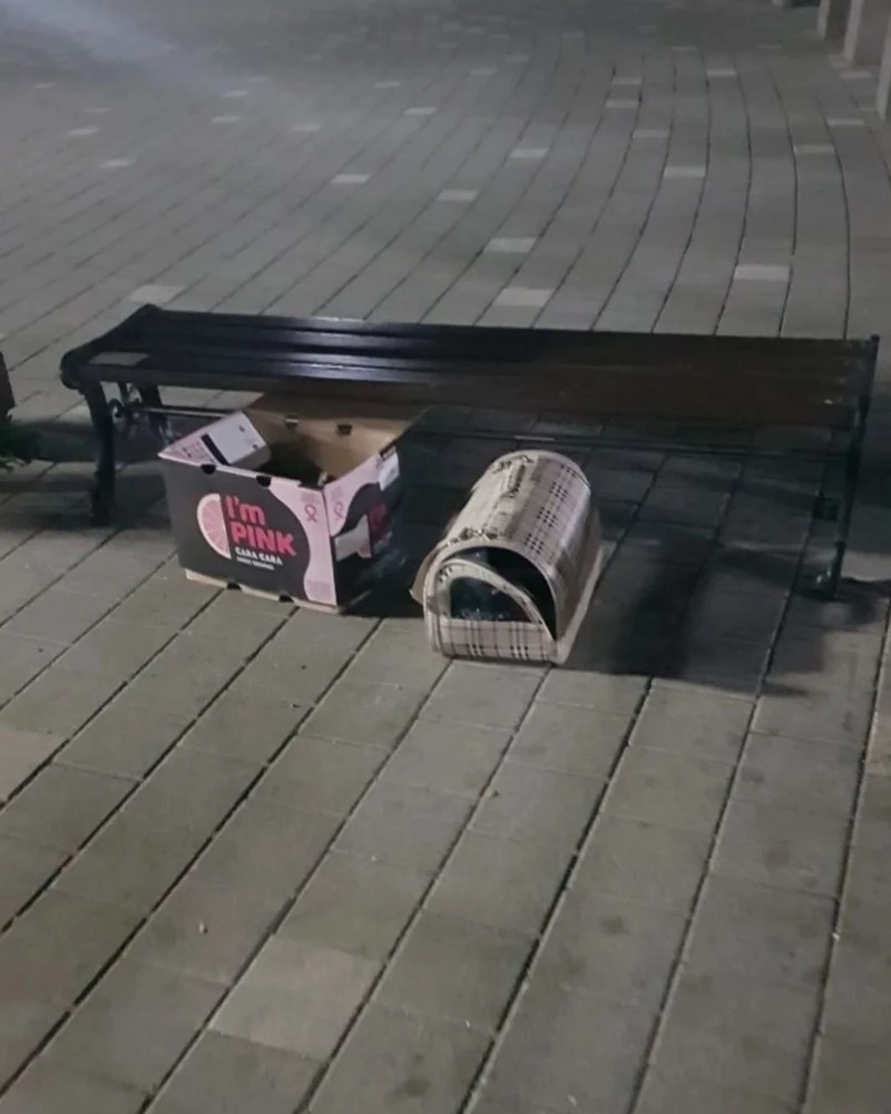 공원 한구석에 덩그러니 남겨진 케이지와 박스. / 이하 인스타그램 '엘씨케이디'