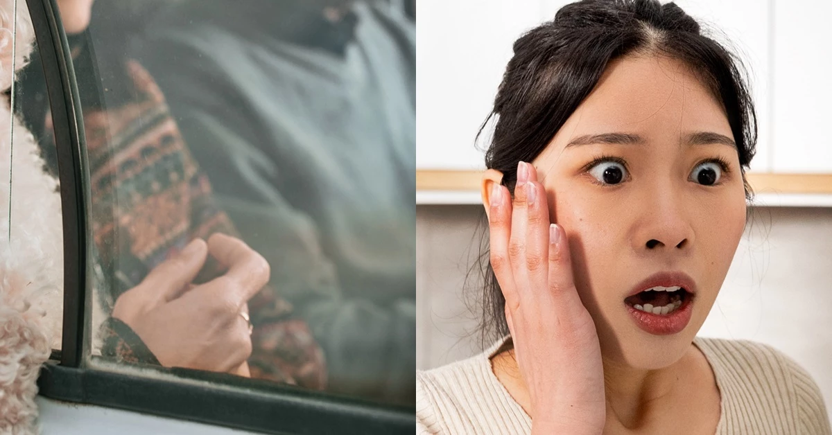 반려견과 함께 드라이브 중인 중년 부부(좌)와 놀라는 여성 (참고 사진) /bbernard·Prostock-studio-shutterstock.com