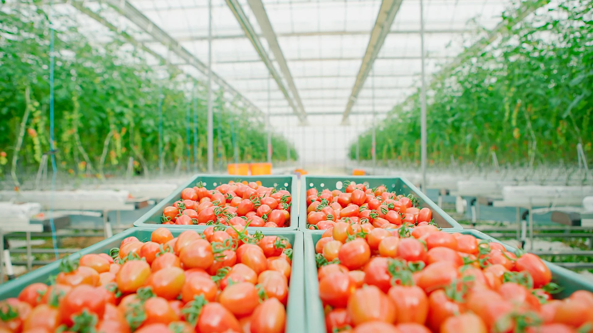 이하 쿠팡 제공