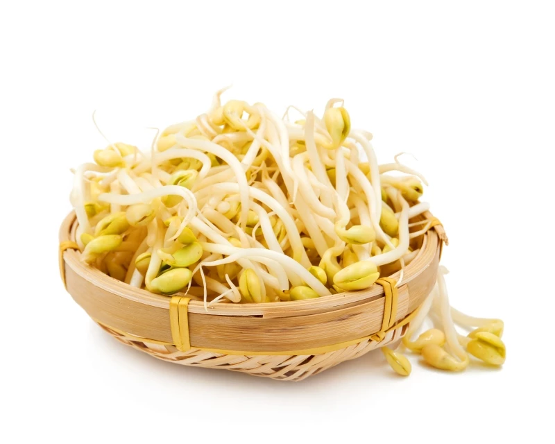 콩나물. 기사 이해를 돕기 위한 이미지 / Emily Li-Shutterstock.com