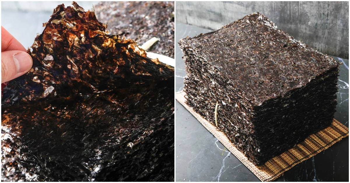 김 자료 사진. / DancingFire-Shutterstock.com