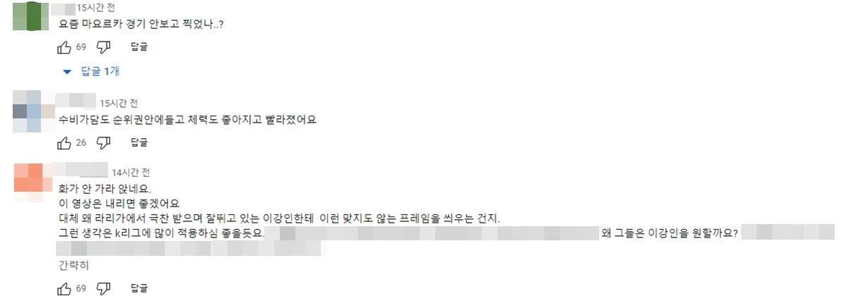 네티즌 의견