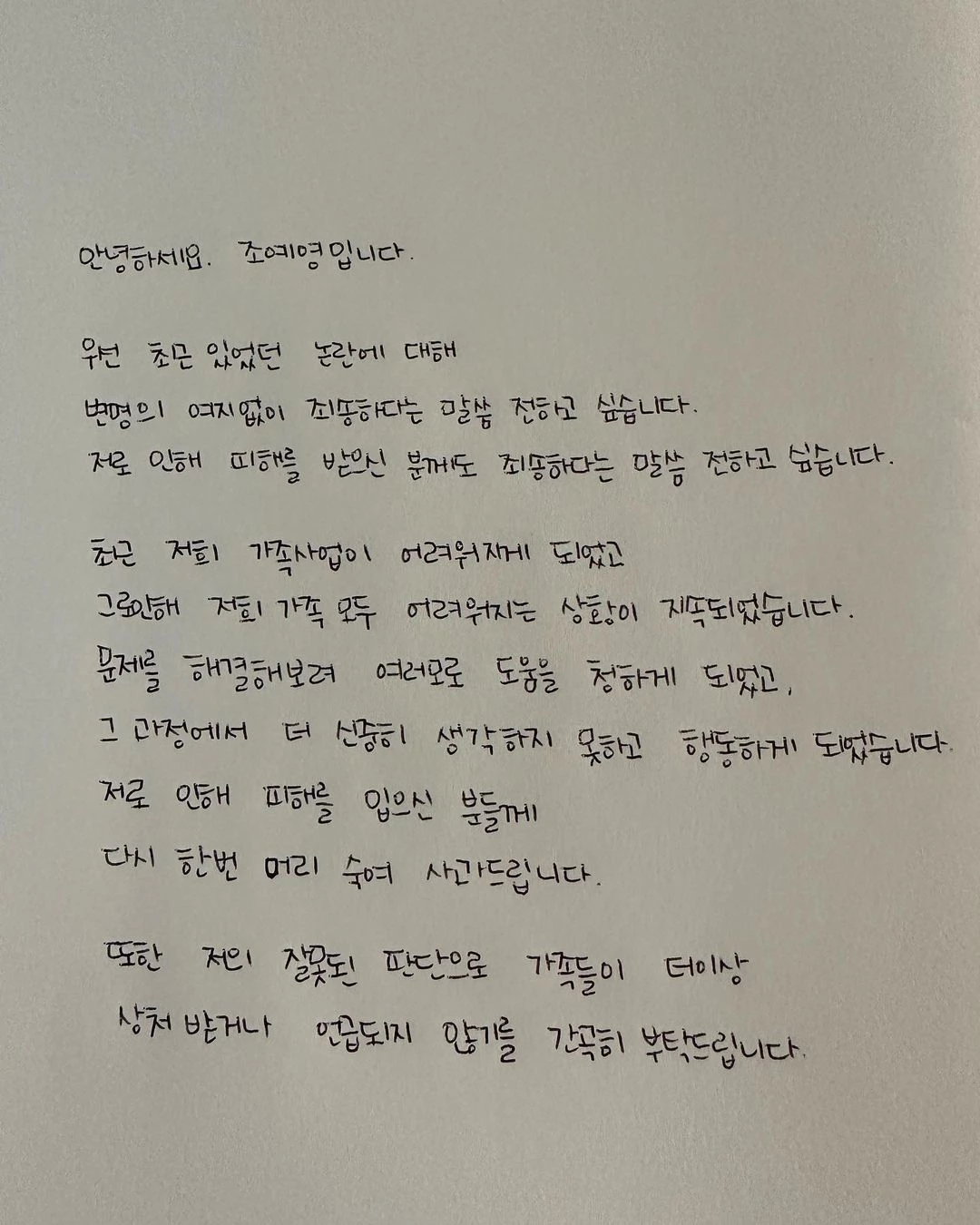 조예영이 올렸던 채무 관련 사과문 (현재는 삭제된 상태)