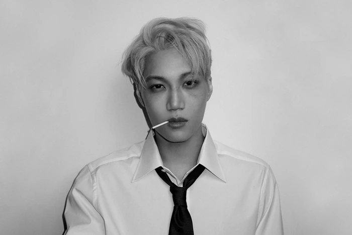 엑소 카이 / SM엔터테인먼트